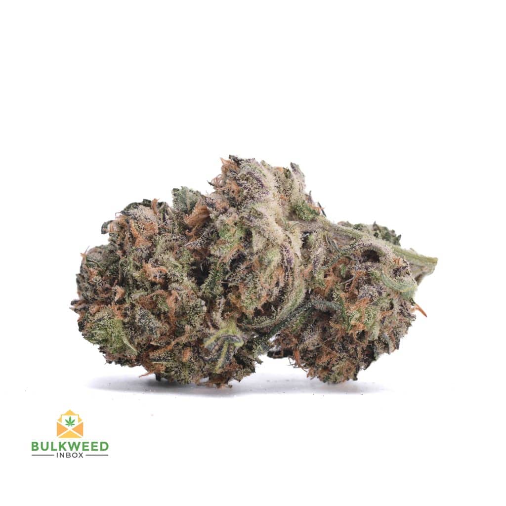 DUTCHBERRY