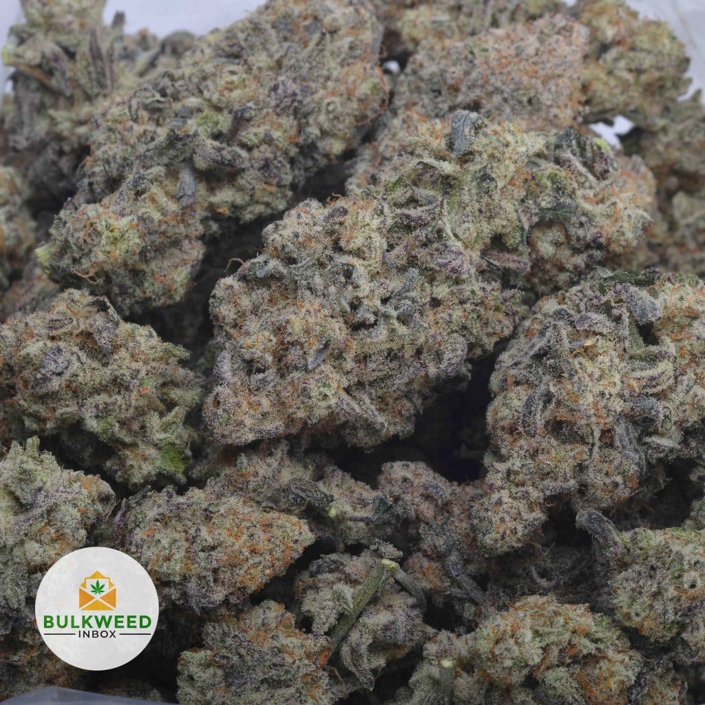 FROSTED-FRUIT-CAKE-3