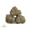 G13-POPCORN-