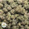 G13-POPCORN-3