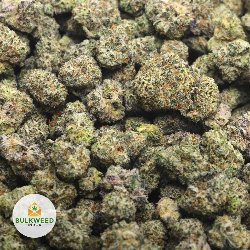 G13-POPCORN-3