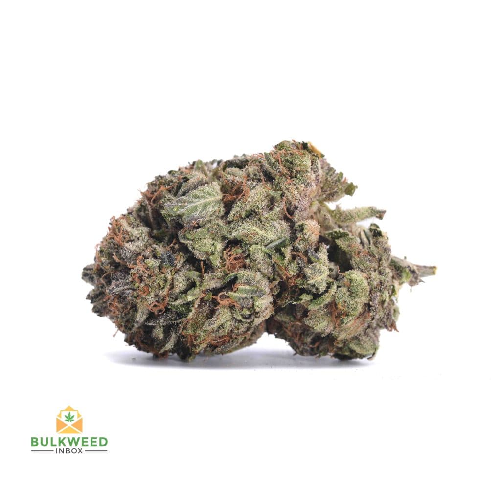 GODFATHER-OG