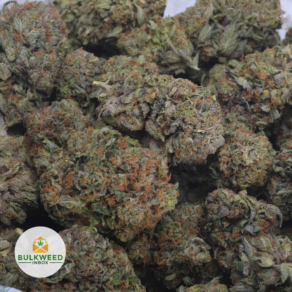 GODFATHER-OG-3