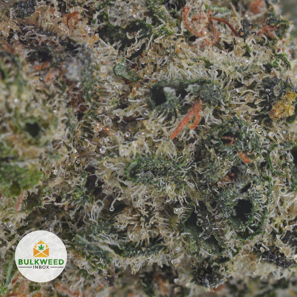 GREEN-CRACK-POPCORN-2