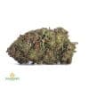 JEDI-KUSH-1