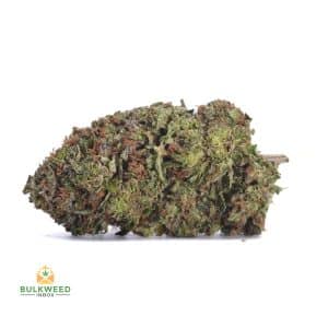 JEDI-KUSH-1