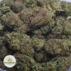 JEDI-KUSH-4