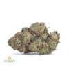 JUICY-FRUIT