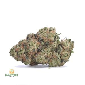 JUICY-FRUIT