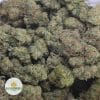 JUICY-FRUIT-4