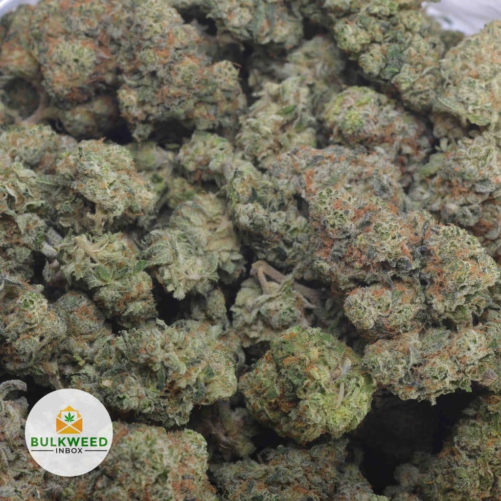 JUICY-FRUIT-4