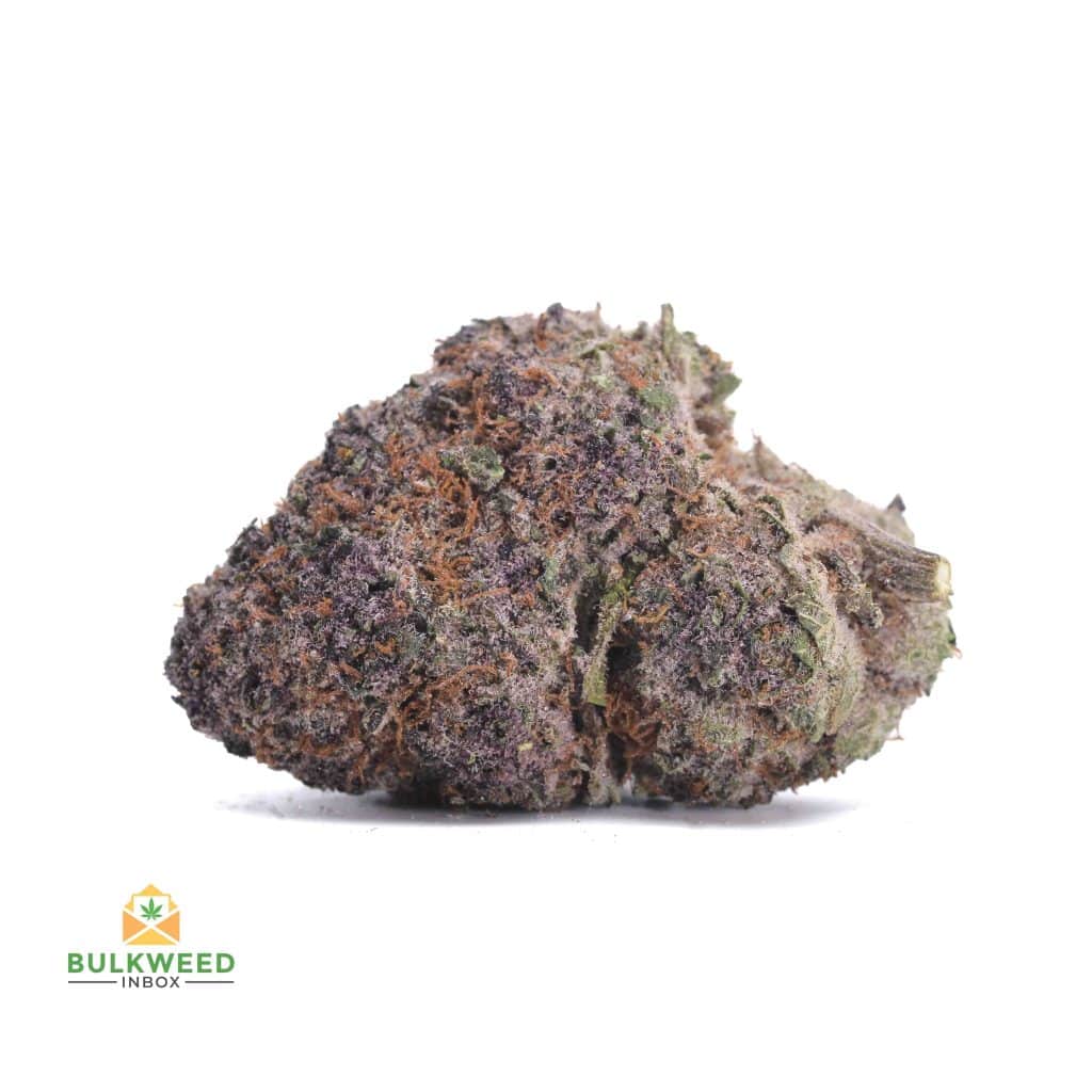 MENDOCINO-PURPS
