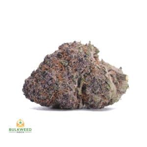 MENDOCINO-PURPS