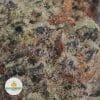 OG-KUSH