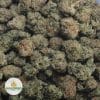 OG-KUSH-2