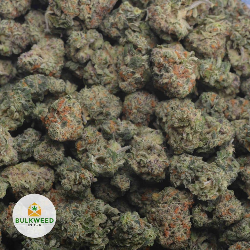 OG-KUSH-2