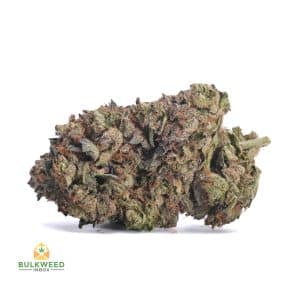 PINK-BUBBA