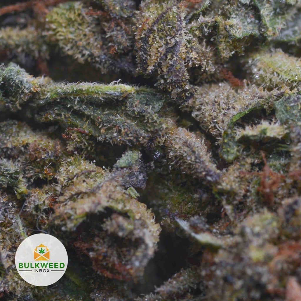 PLATINUM-BUBBA-KUSH-4