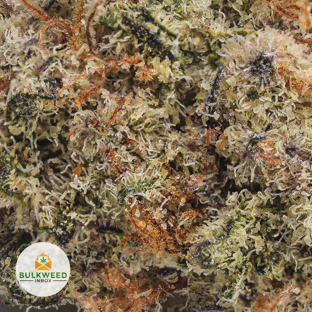 PLATINUM-COOKIES-POPCORN-AAA1-2