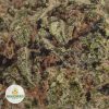 PURPLE-URKLE-2