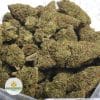 PURPLE-URKLE-3