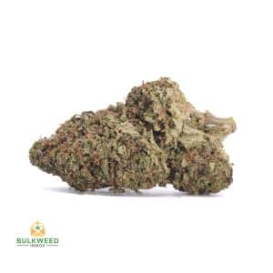 PURPLE-URKLE