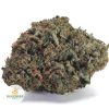 ROCKSTAR-AAA1-2