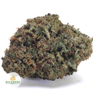 ROCKSTAR-AAA1-2