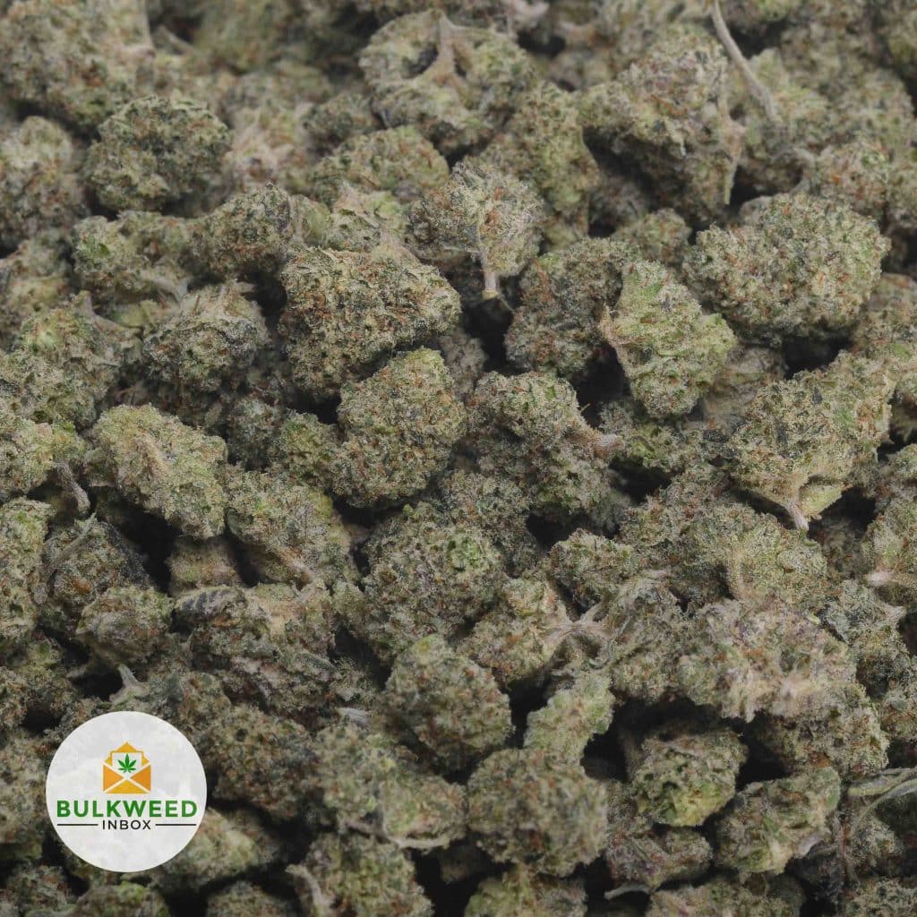 SKYWALKER-OG-POPCORN-2