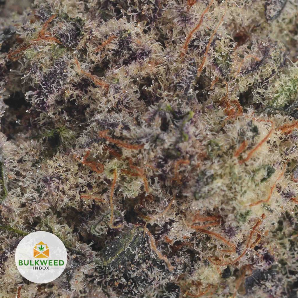 STRAWBERRY-SHORTCAKE-2