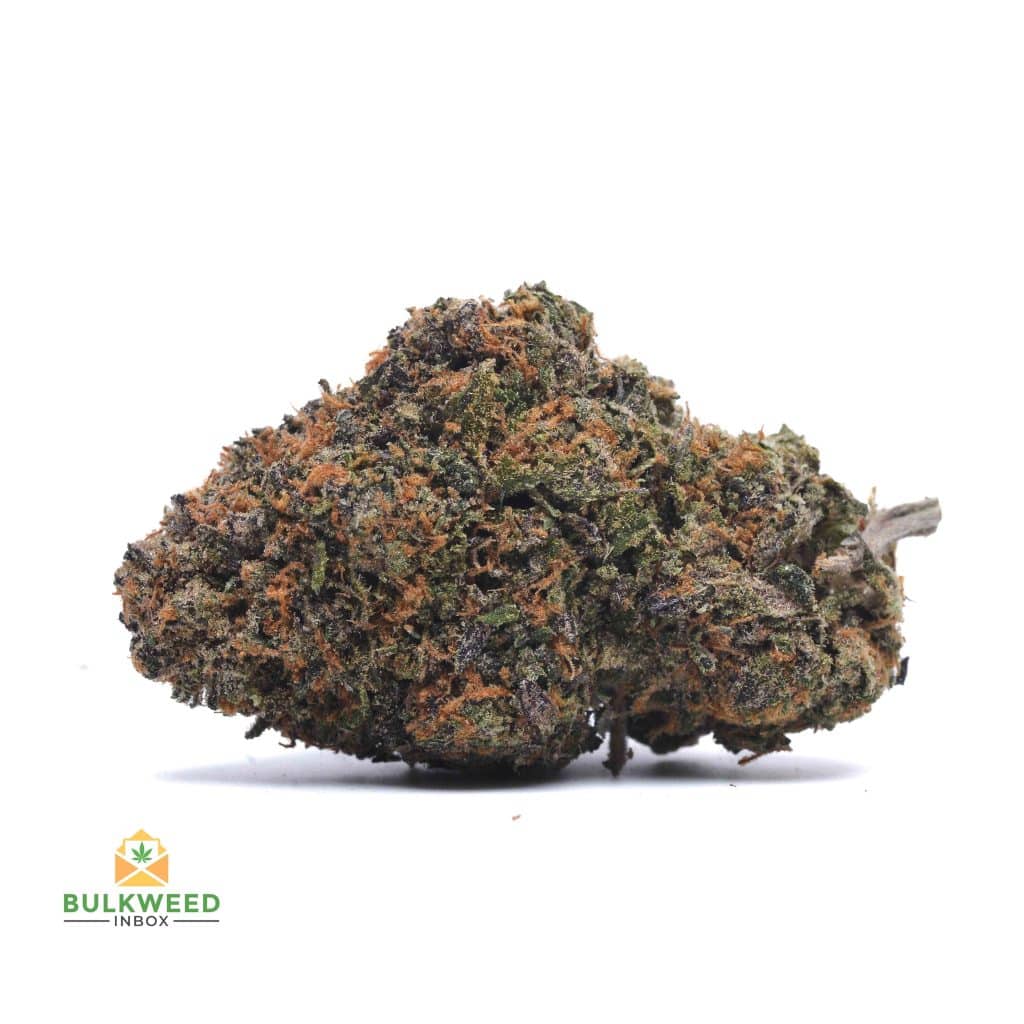 SUPER-SKUNK