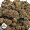 SUPER-SKUNK-3