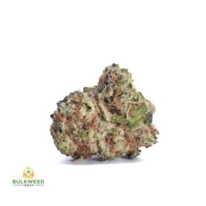 WHITE-RHINO