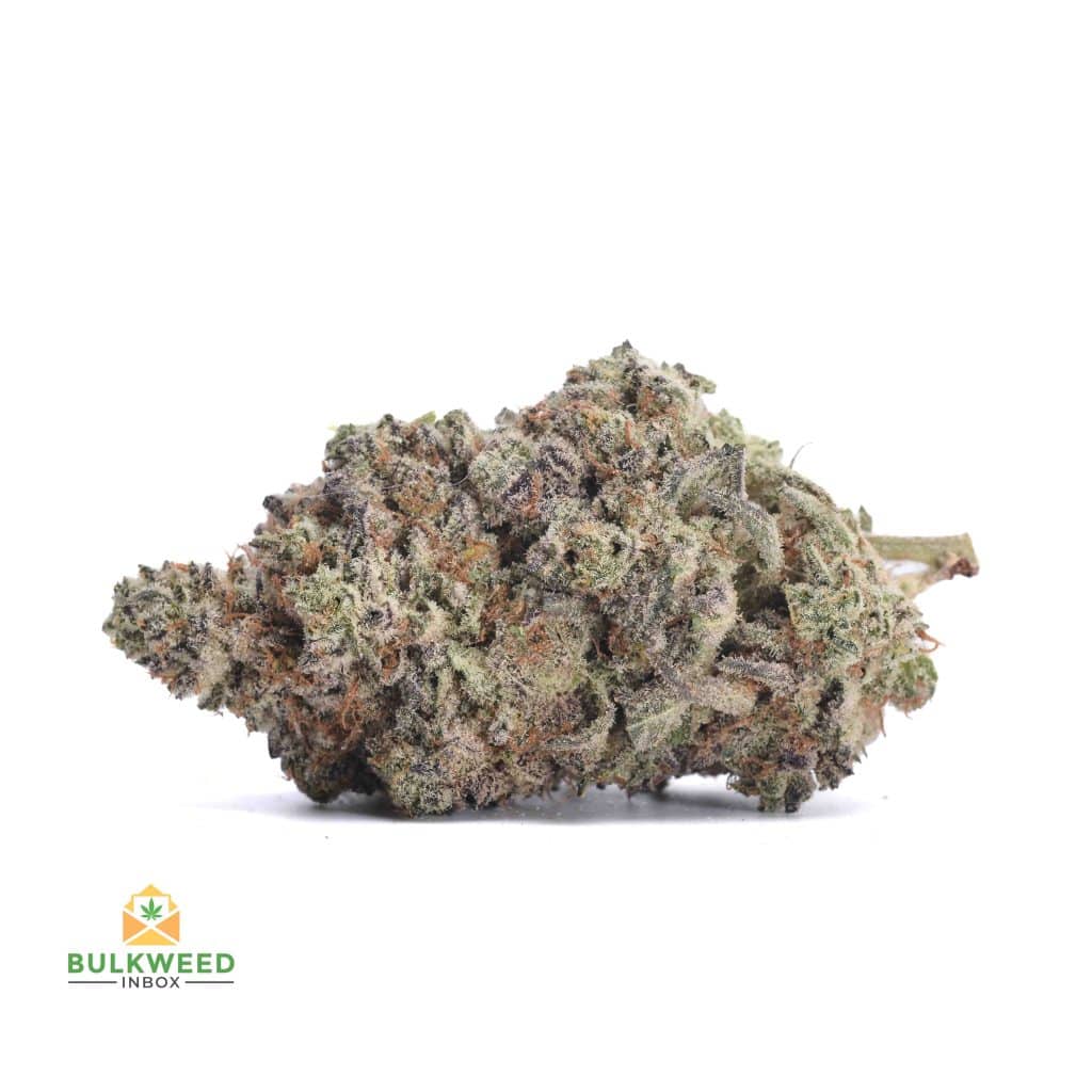 WHITE-WIDOW