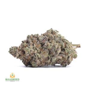 WHITE-WIDOW