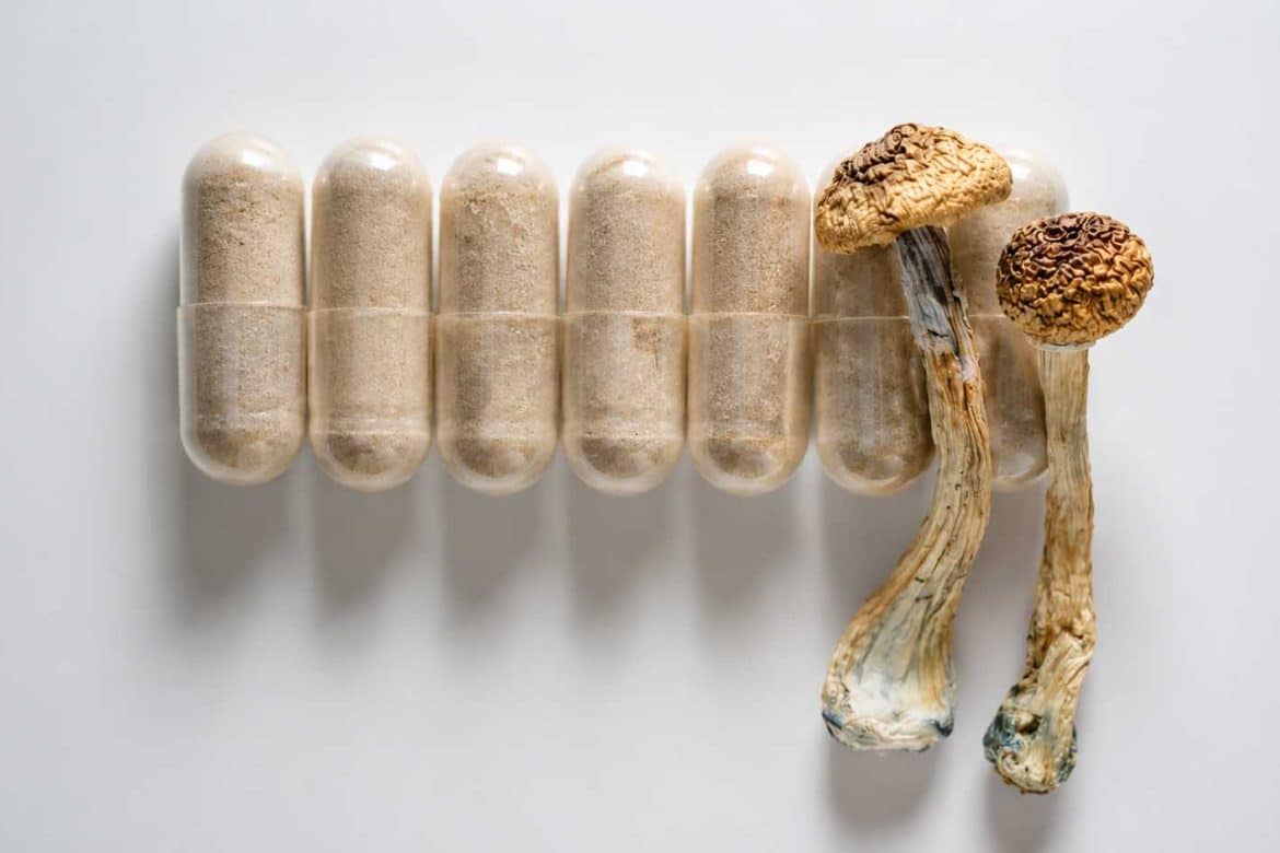 dried-mushroom-strains-potency-comparison