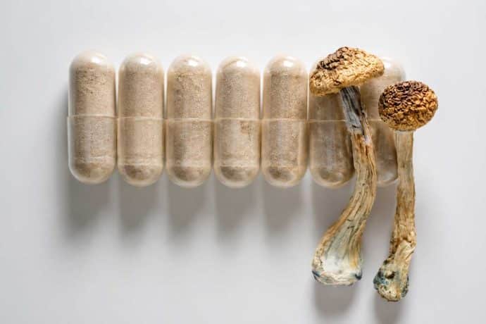 dried-mushroom-strains-potency-comparison