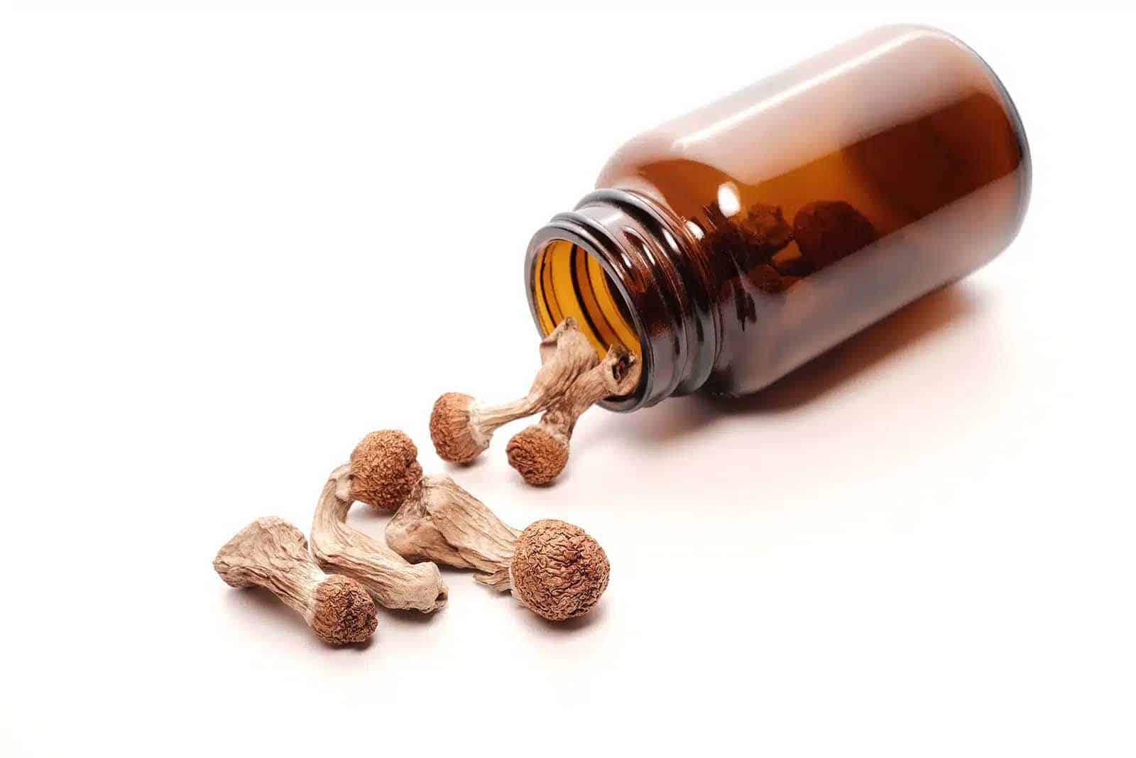 psilocybin-microdosing-routine-canada-2026.jpg