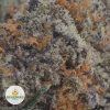 ALASKAN-ICE-2