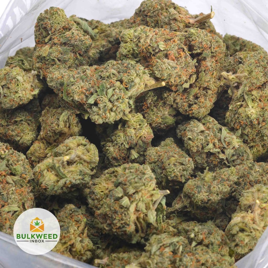 APPLE-FRITTER-3