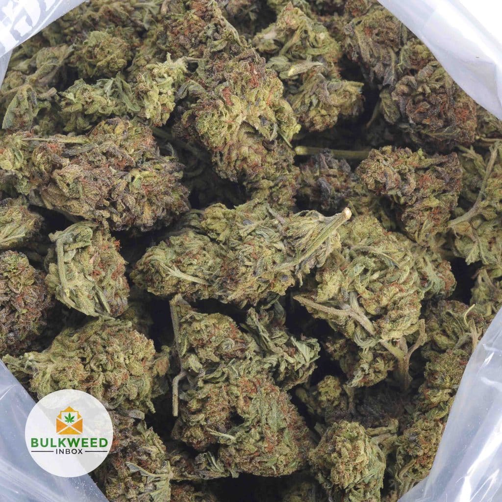 BLACK-KUSH-3