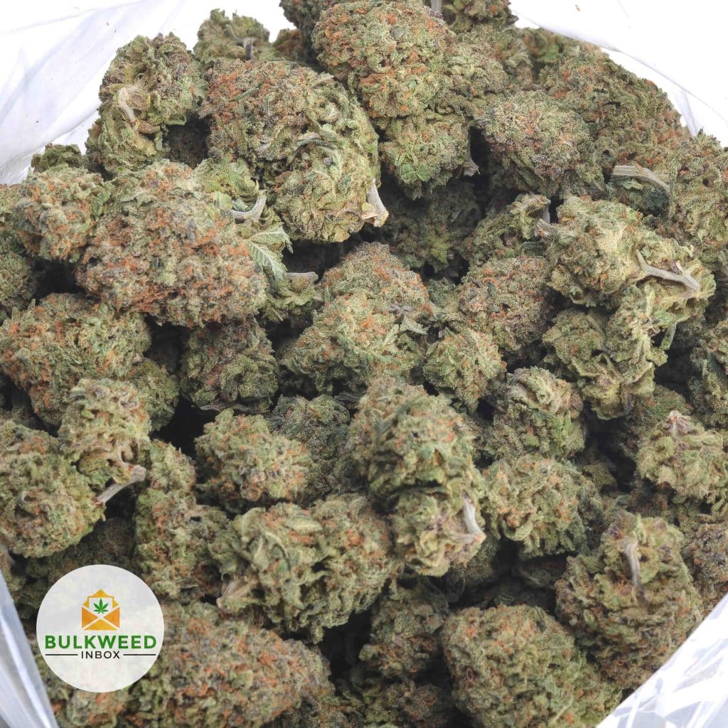 BLUE-DREAM-3