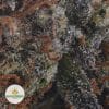 BUBBA-KUSH-2