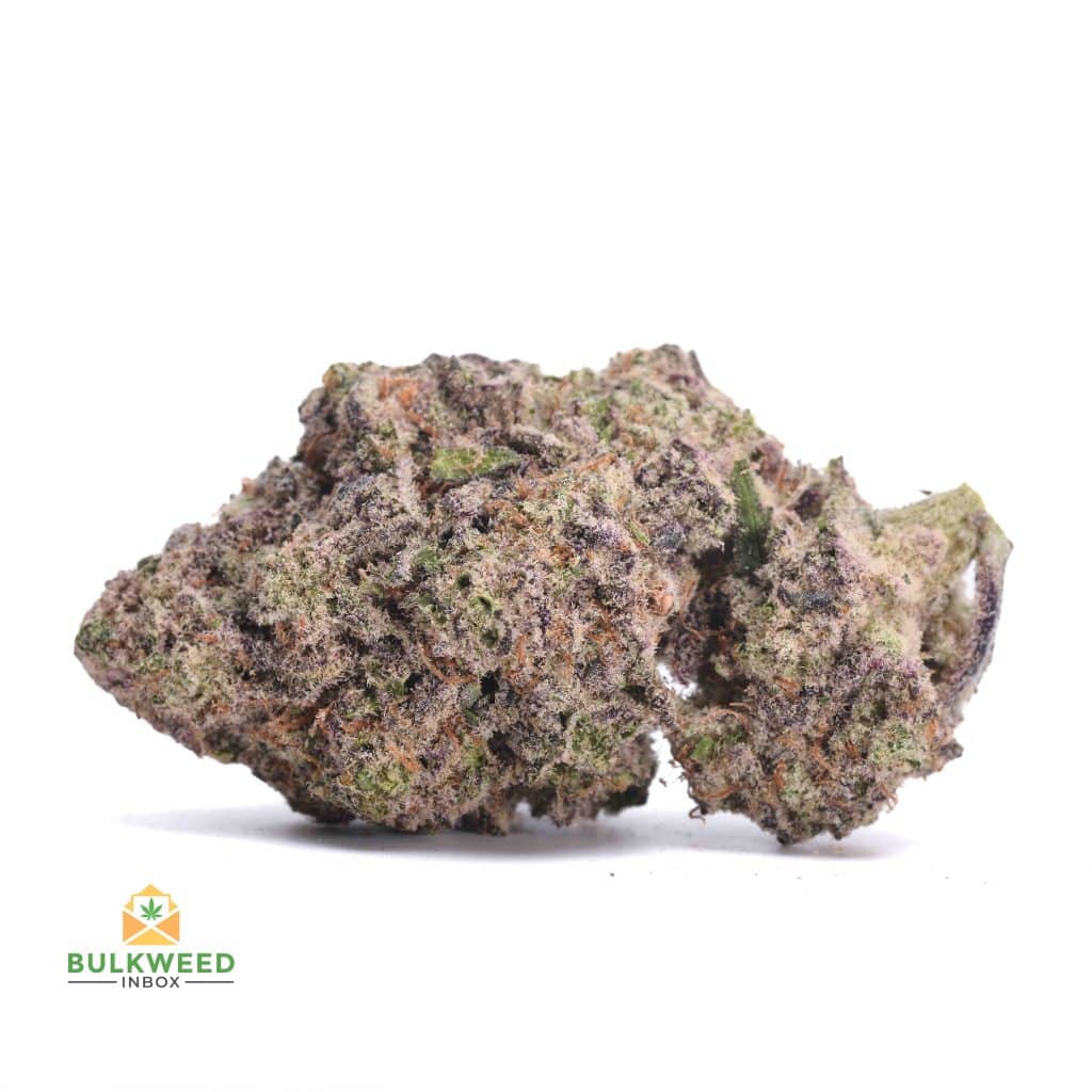 CANDYLAND