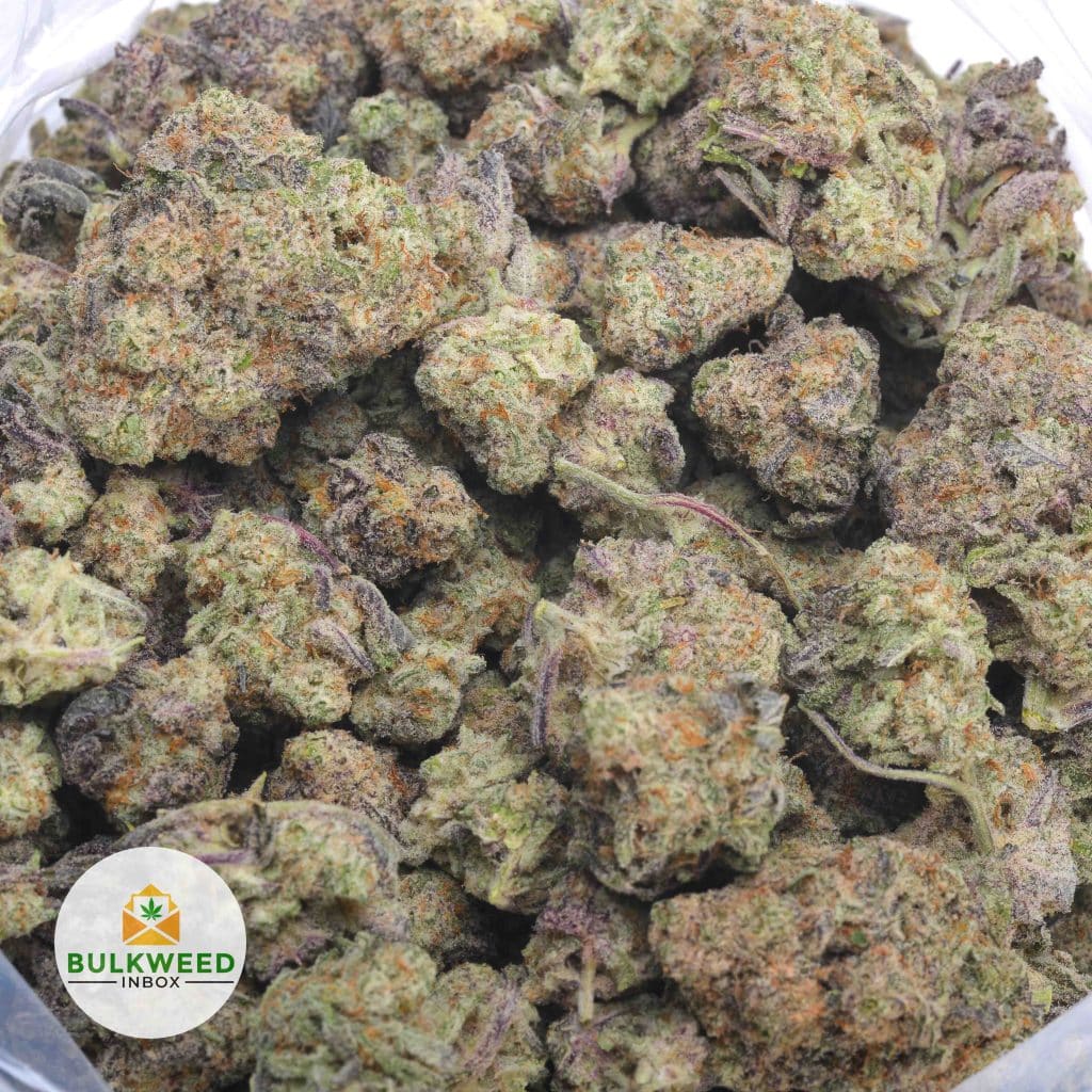 CANDYLAND-3