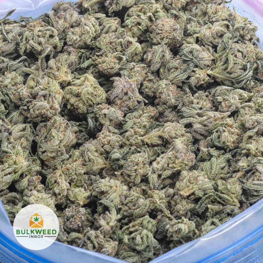 CANDYLAND-POPCORN-AAA-2