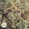 CANDYLAND-POPCORN-AAA1-2