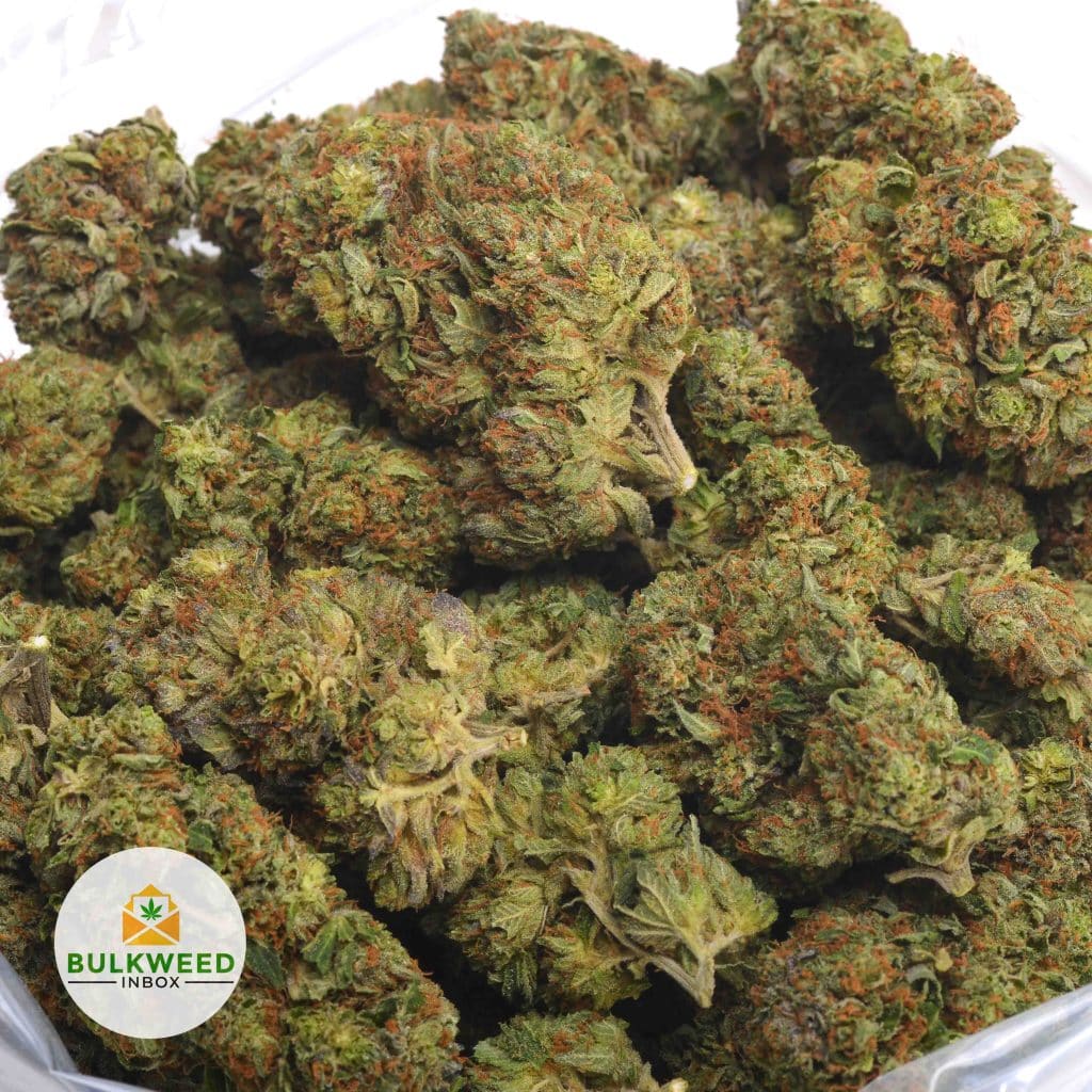 DARTH-VADER-OG-2