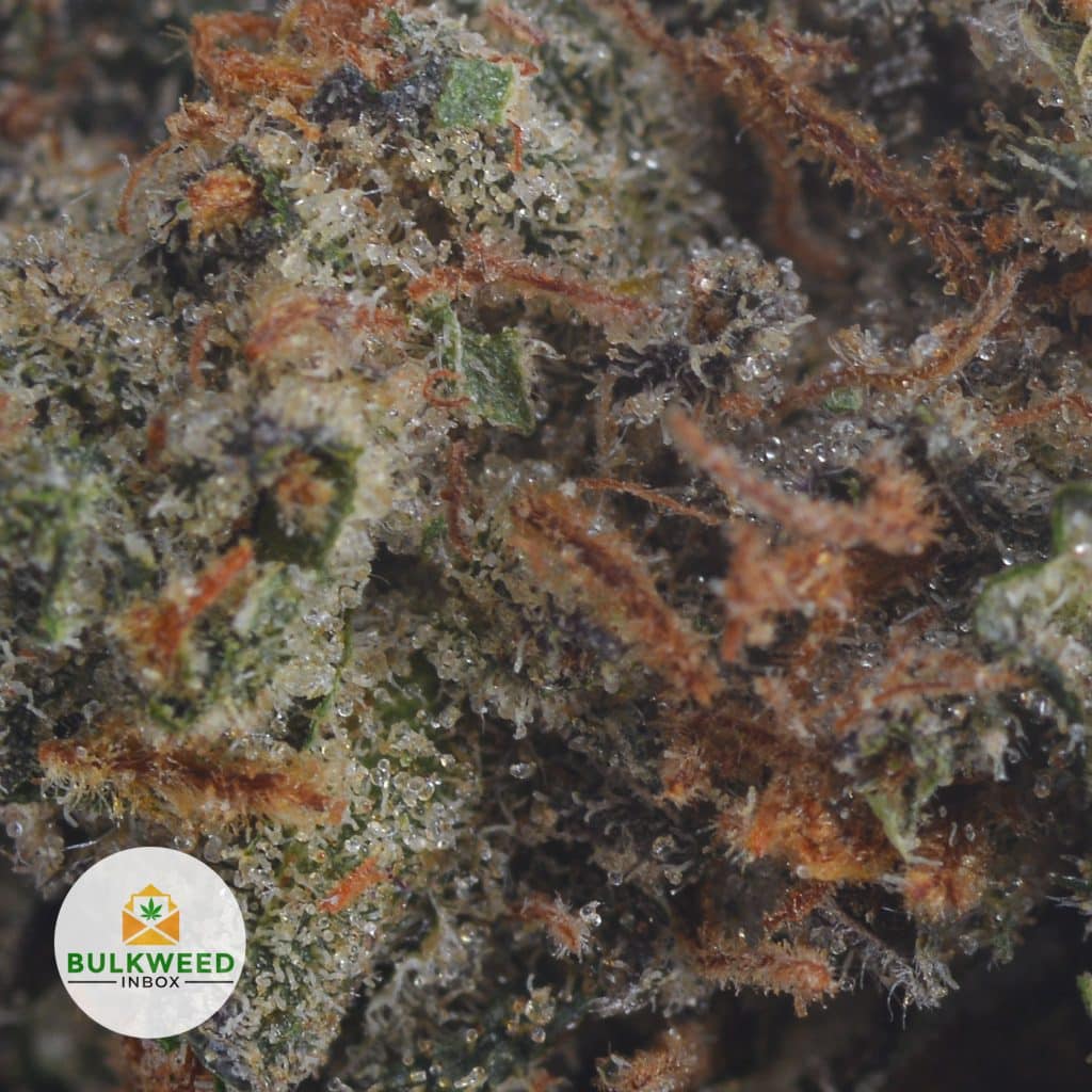 DEATH-STAR-3