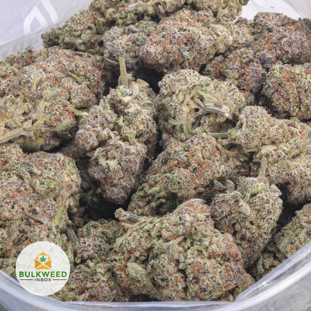GHOST-OG-AAA-2